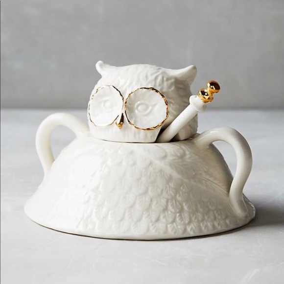 Anthropologie Other - Anthropologie Wild Masquerade Owl Serving Piece